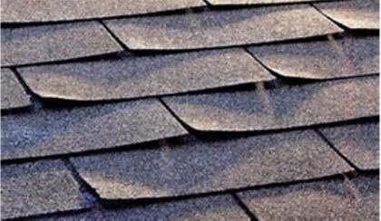 Curled asphalt roof shingles