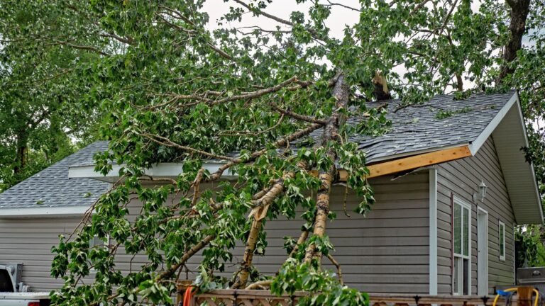 Avoid storm chasers after damage to your home's roof.