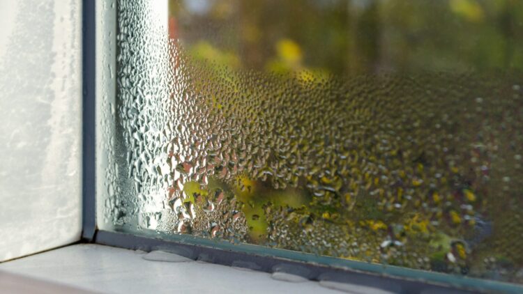 Window condensation