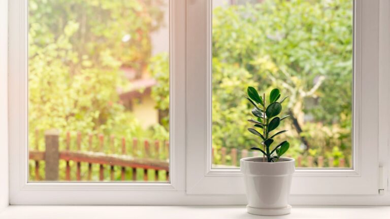 Window replacement for your home.